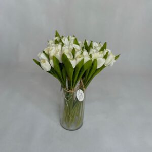 لاله پارچه ای ۱۰ تایی